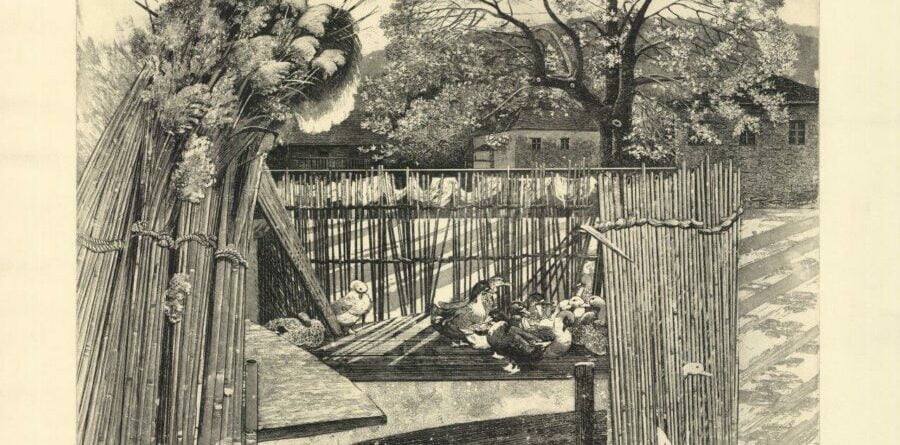 Ολόγυρα στη λίμνη ΙΙΙ-Γκαλτέμης