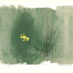 Κίτρινο αγριολούλουδο-Βαρλάμος Γιώργος