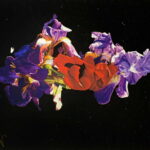 "Λουλούδια στο διάστημα"-Άγγελος Παναγιώτου