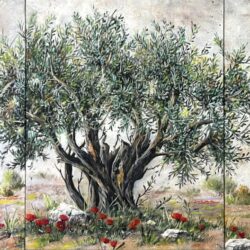 Olive tree triptych