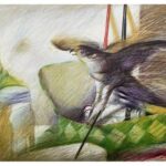 -Στέφανος Δασκαλάκης