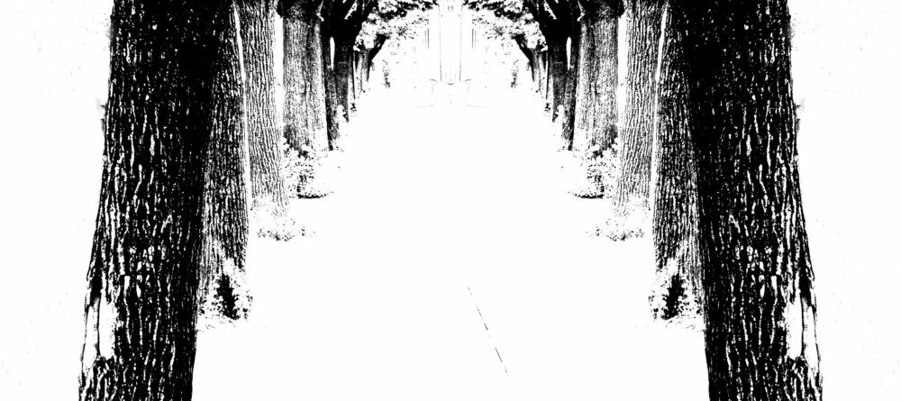 ''Walking 2'' -Gatenio Simi