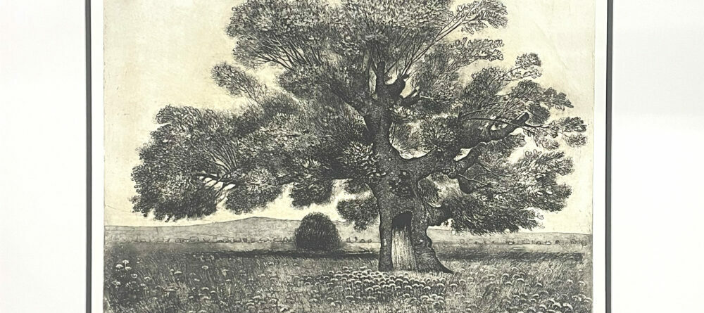 "Βασιλική δρύς"-Χριστόδουλος Γκαλτέμης